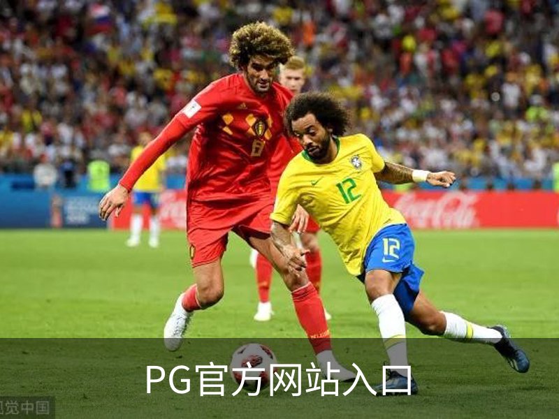 PG官方网站入口简介